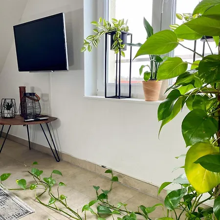 Ahaus: Stadtoase Mit Terrasse & Privater Garage Exterior photo
